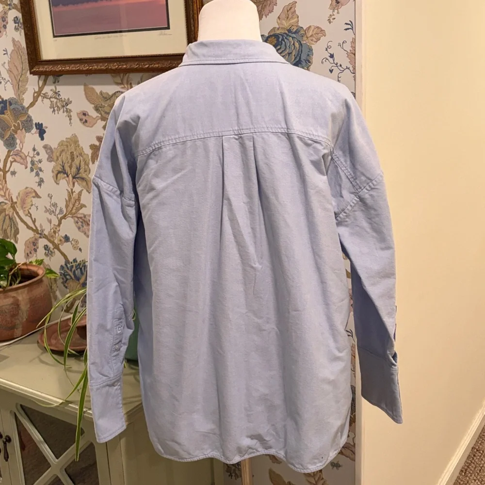 Everlane The Boxy Oxford Organic Cotton Button Down Shirt - Picture 6 of 8